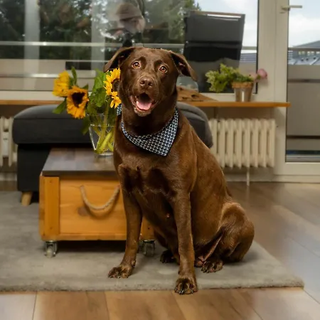 Abendsonne Apartamento