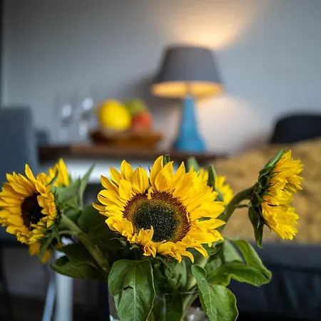 Abendsonne Apartamento Wenningstedt-Braderup