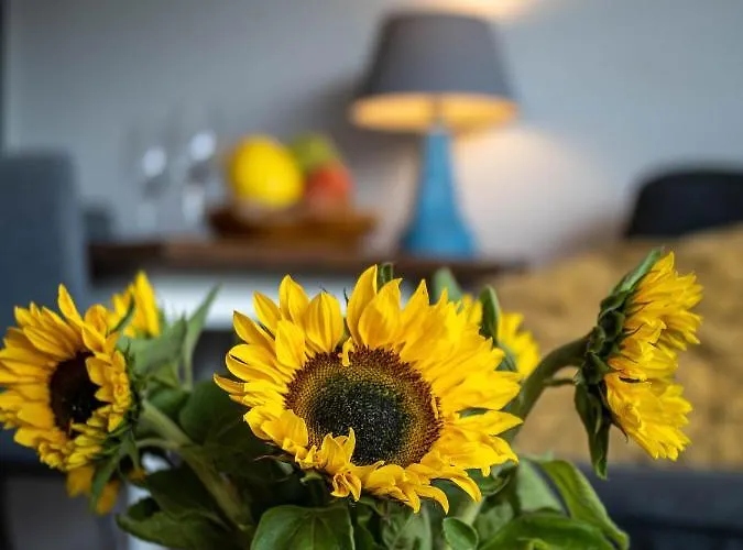 Abendsonne Apartamento Wenningstedt-Braderup